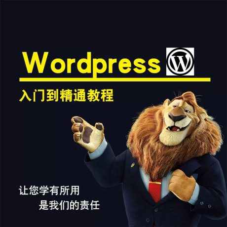 wordpress建站视频教程_wordpress建站入门到精通
